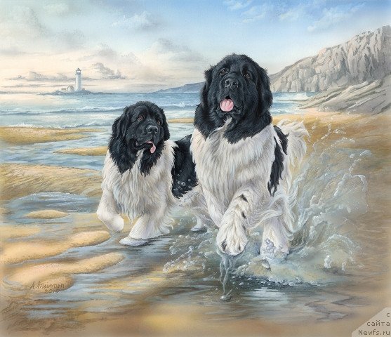 Фотография № 234917