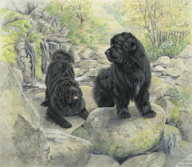 Фотография № 234920