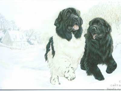 Фотография № 234921