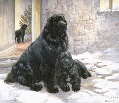 Фотография № 234923