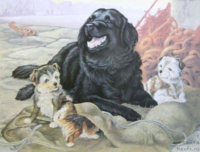 Фотография № 234924