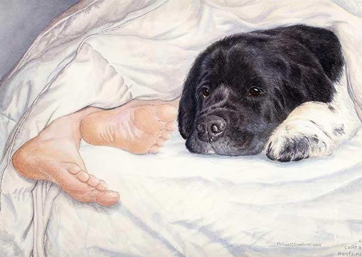 Фотография № 234927