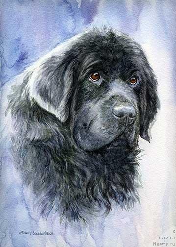 Фотография № 234928