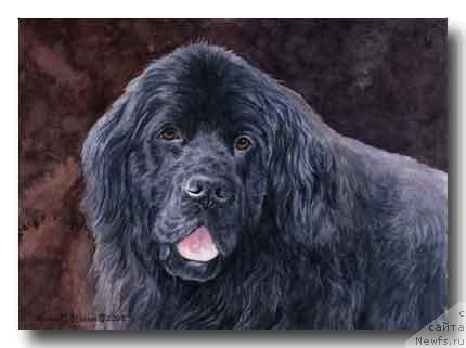 Фотография № 234933