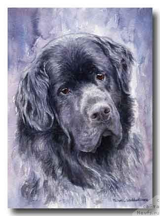 Фотография № 234935