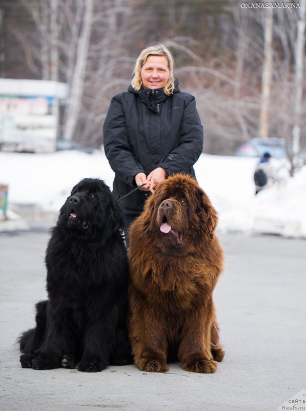 Фотография № 234944