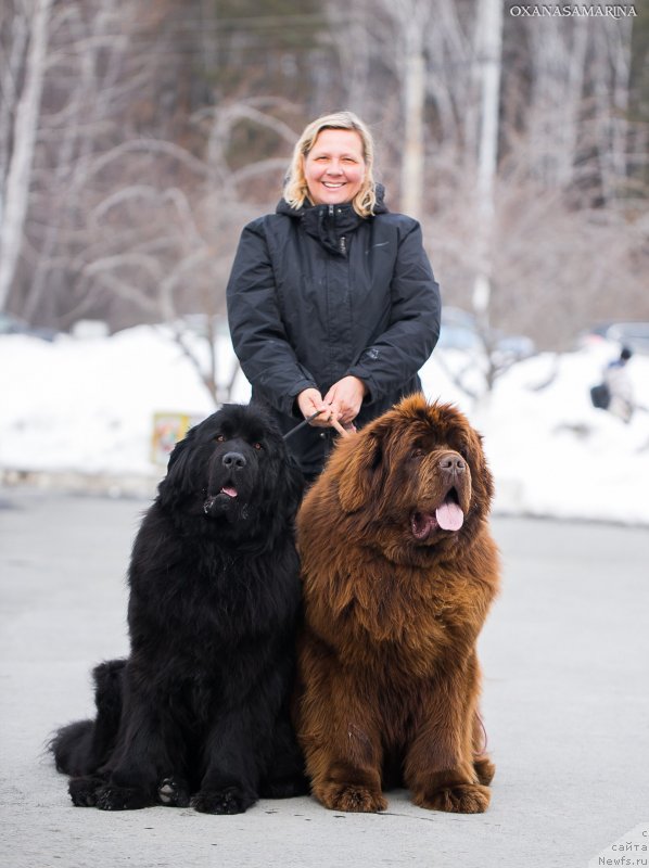 Фотография № 234945