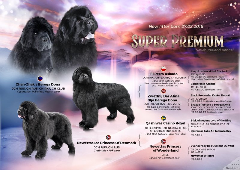 Фотография № 234979