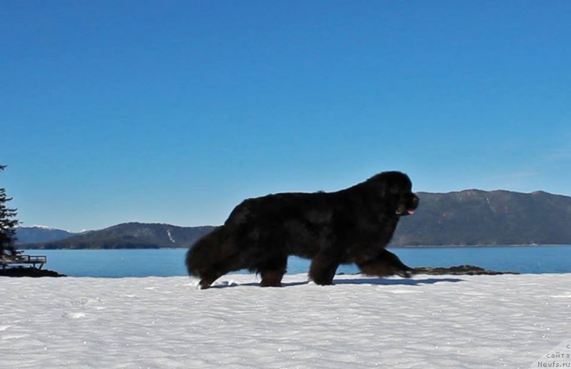 Фотография № 234997