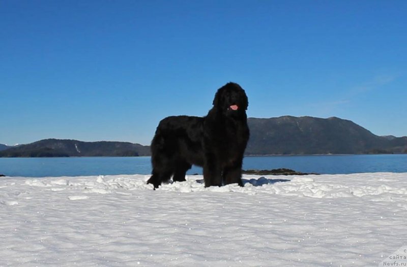 Фотография № 234998