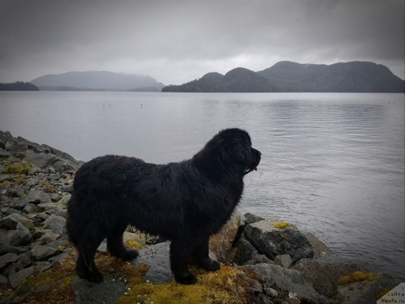 Фотография № 235000