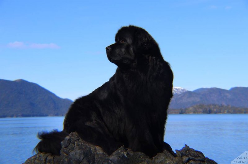 Фотография № 235001