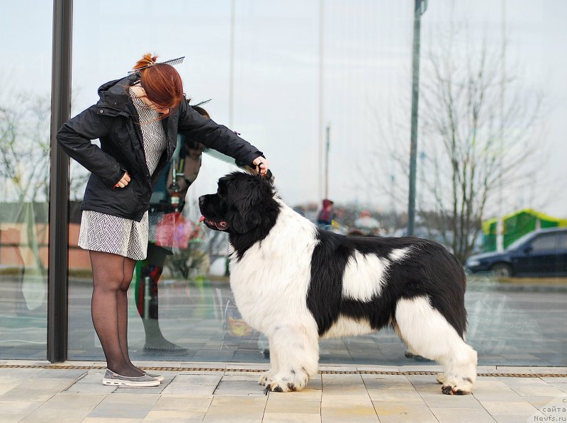 Фотография № 235012