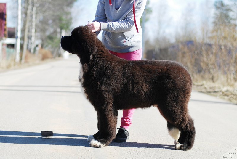 Фотография № 235014