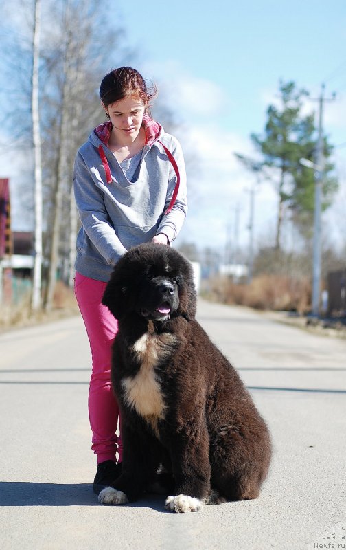 Фотография № 235015