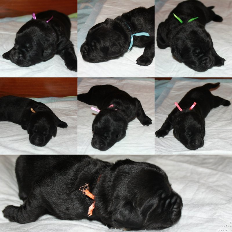 Фотография № 235016