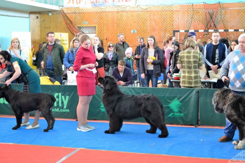 Фотография № 235032