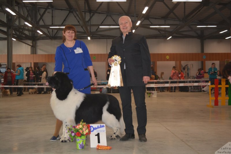 Фото: ГОРДОН ИНГЛ ПЕРИКЛЬЗ ФРОМ РАШН БЕАР вл. Якимова С.А.