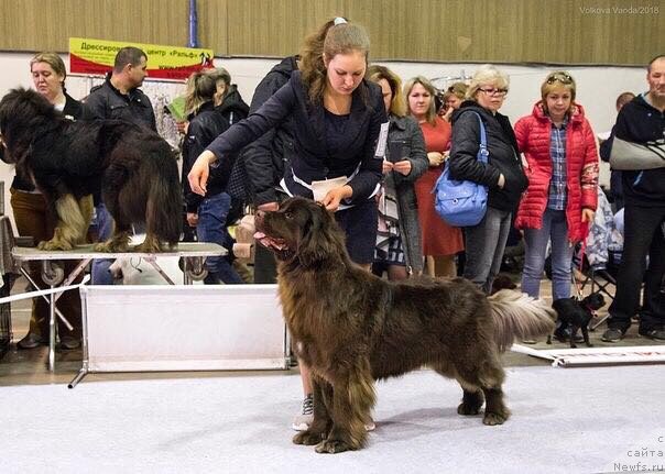 Фотография № 235070