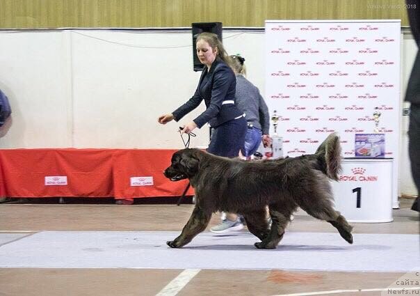 Фотография № 235071