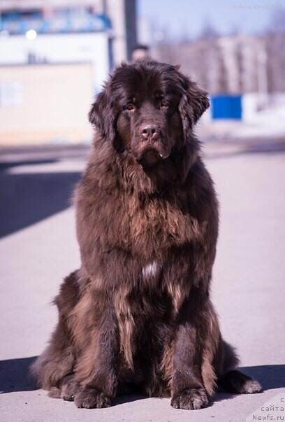 Фотография № 235073