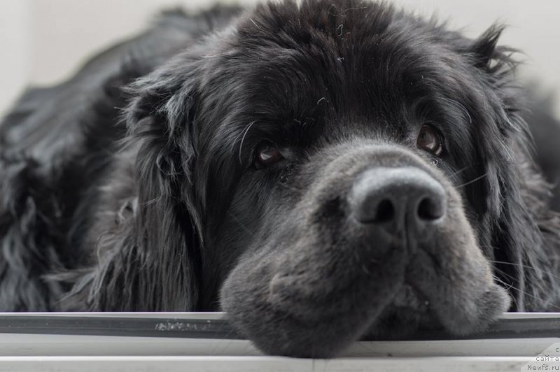 Фотография № 235079