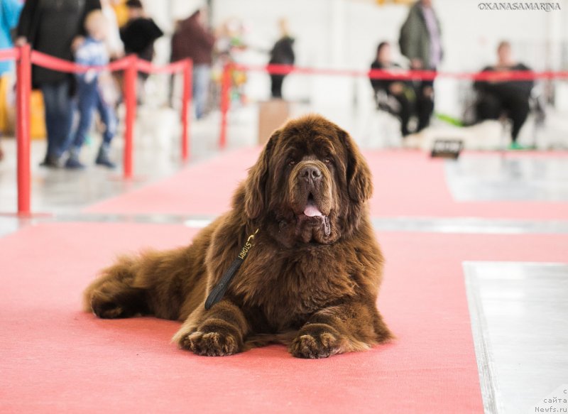 Фотография № 235083