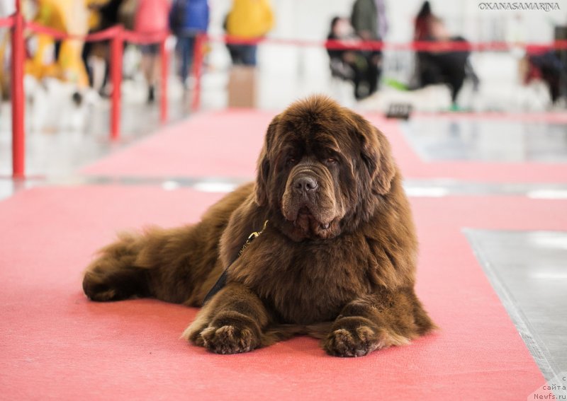 Фотография № 235084