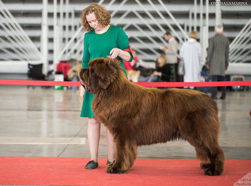 Фотография № 235086