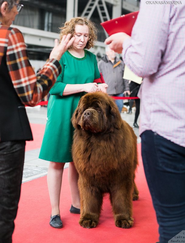 Фотография № 235091