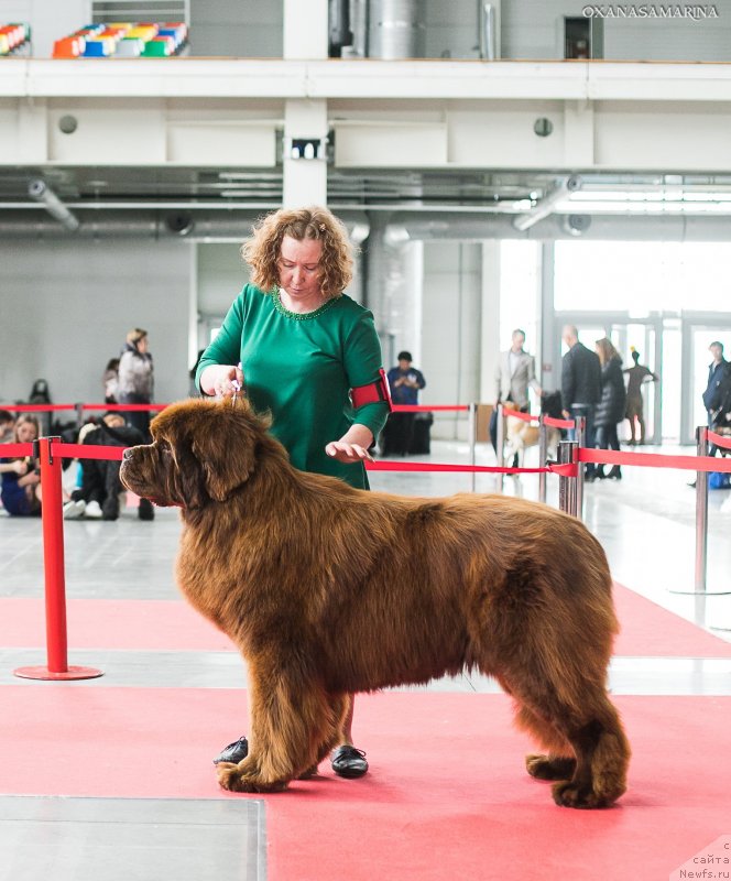 Фотография № 235093