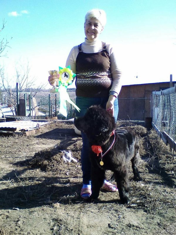 Фотография № 235094