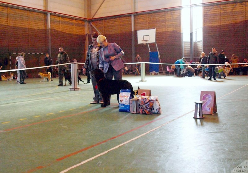 Фотография № 235095