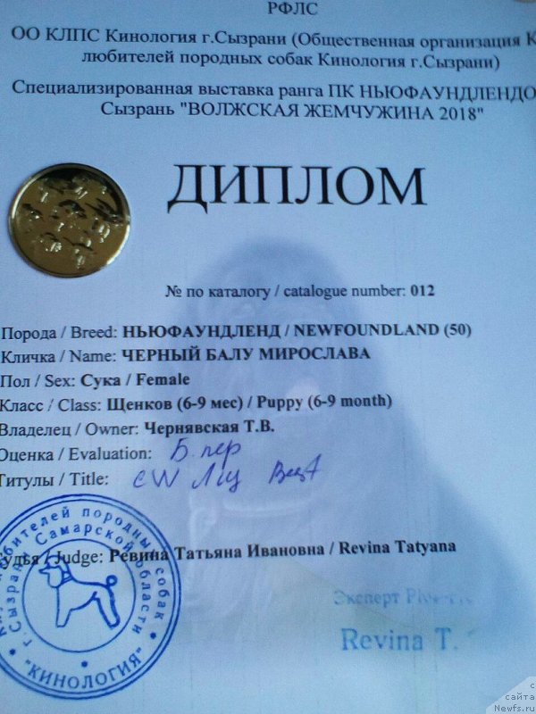 Фотография № 235096