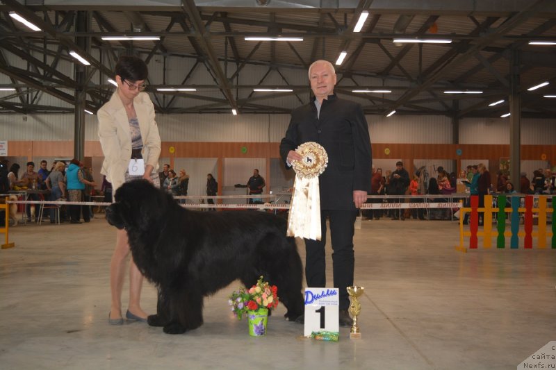 Фотография № 235102