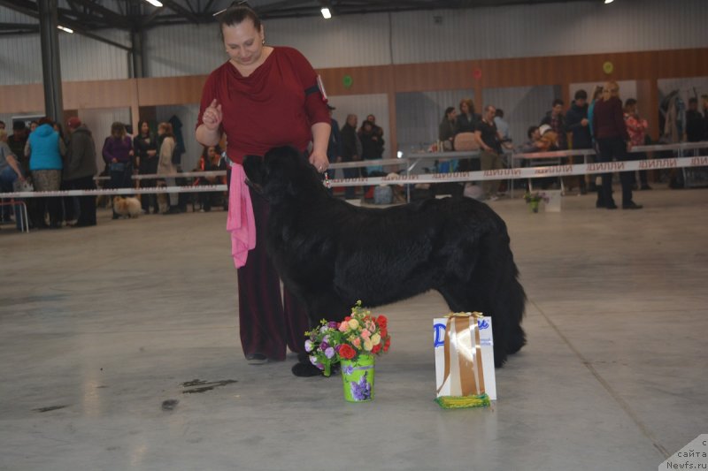 Фотография № 235104