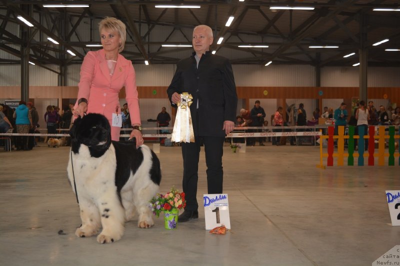 Фотография № 235107