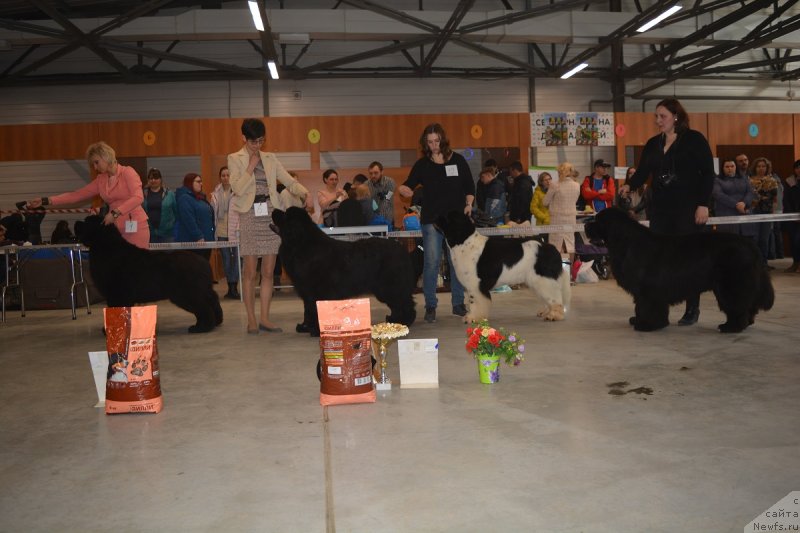 Фотография № 235110