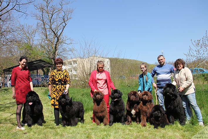 Фотография № 235112