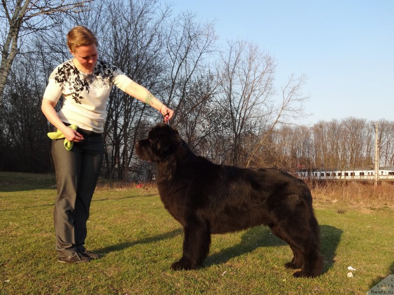 Фотография № 235131