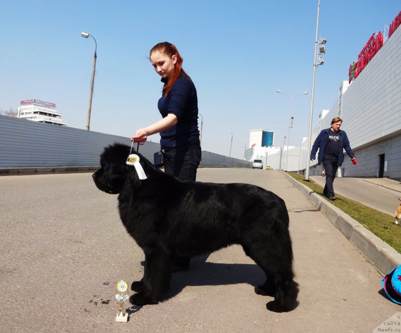 Фотография № 235132