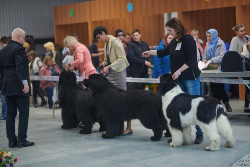 Фотография № 235147