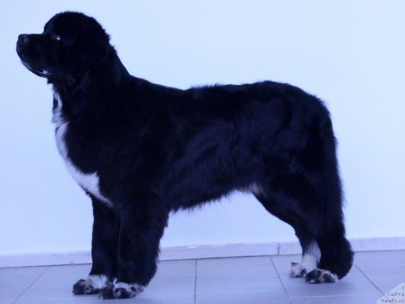 Фотография № 235174