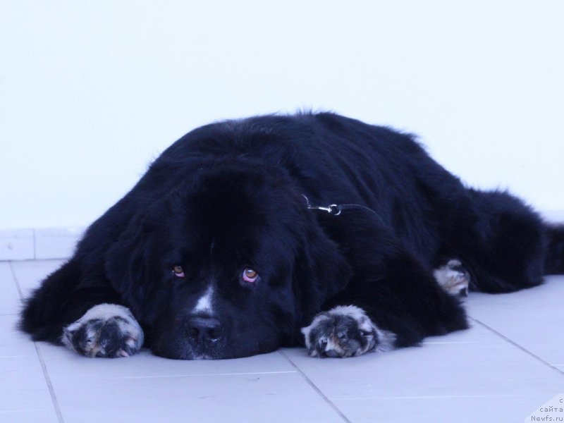 Фотография № 235176