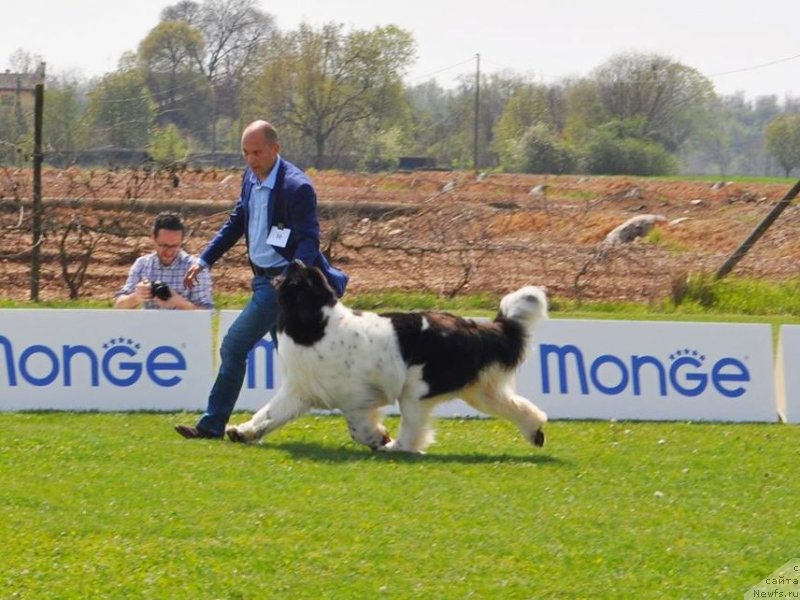 Фотография № 235179