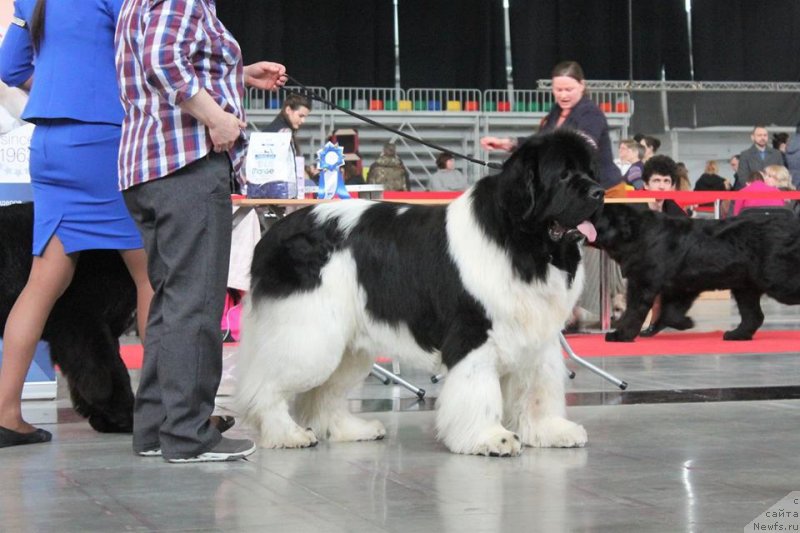 Фотография № 235201