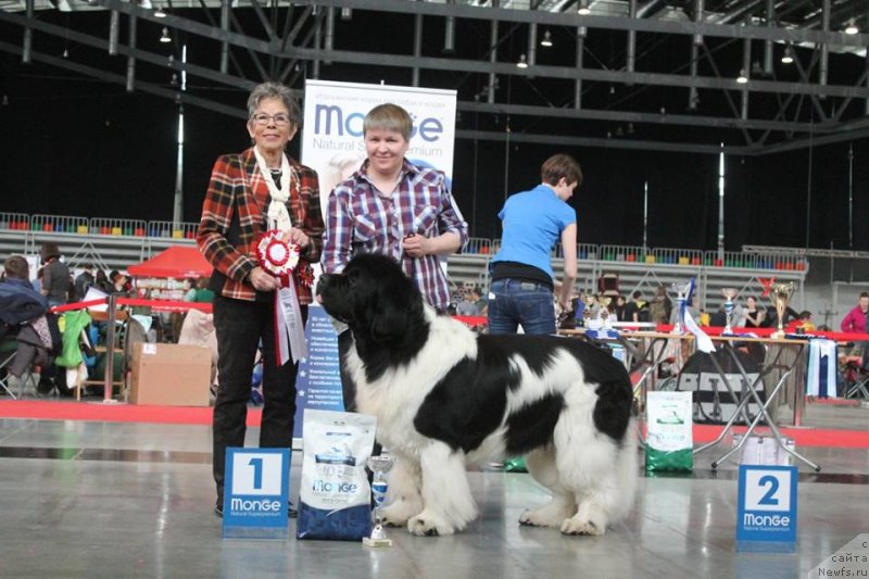 Фотография № 235207