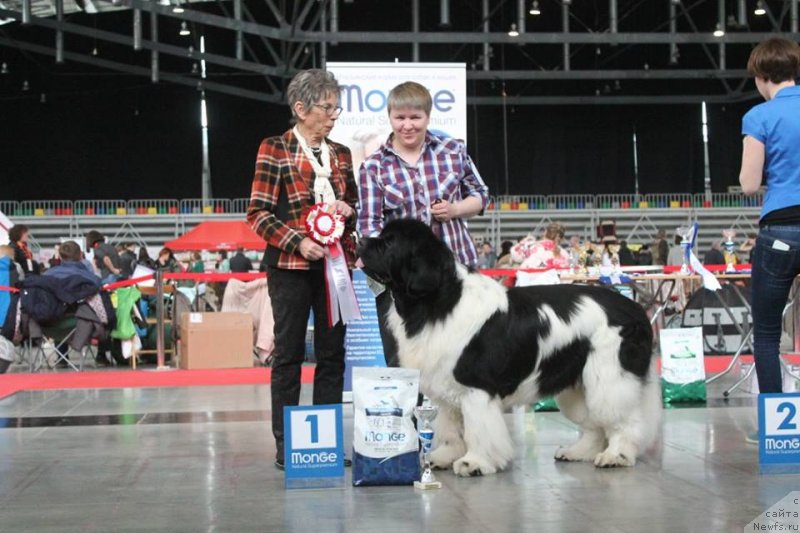 Фотография № 235208