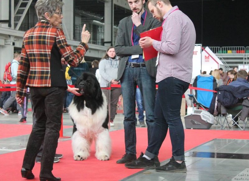 Фотография № 235209