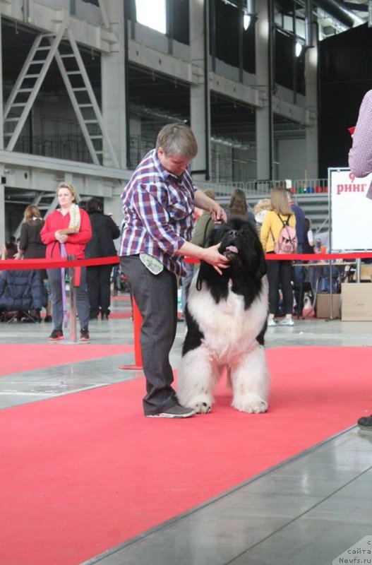 Фотография № 235210